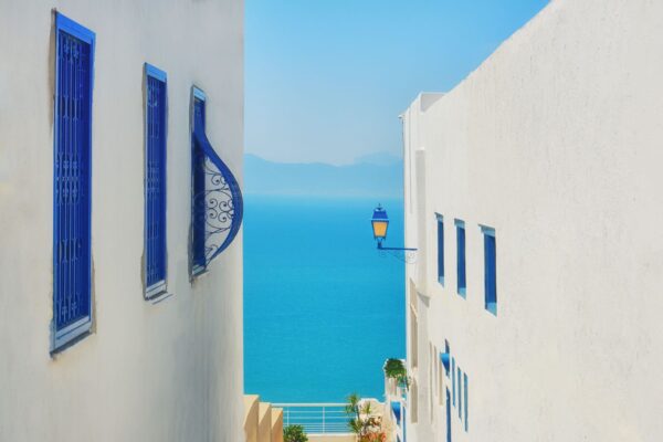 Sidi Bou SAID 1