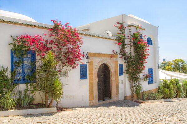 la villa bleue sidi bou said