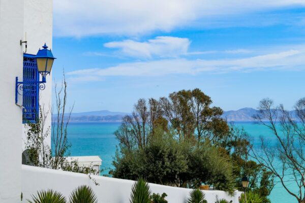 sidi bou said